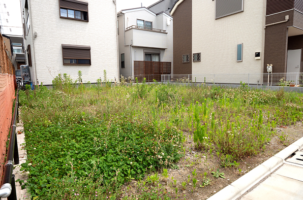 相続した土地